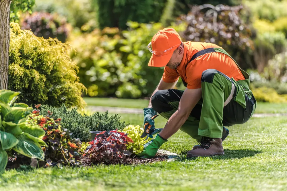 Service de jardinnage à Béziers